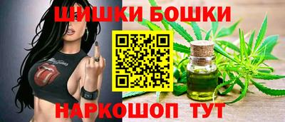 тгк Бердск
