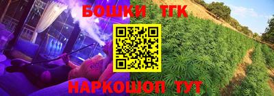 гидра Аша