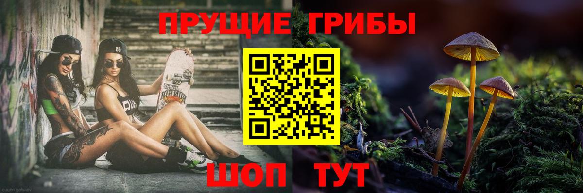 Псилоцибиновые грибы MAGIC MUSHROOMS  Псилоцибиновые грибы мухоморы  купить наркотик  Соликамск  Вход с VPN 